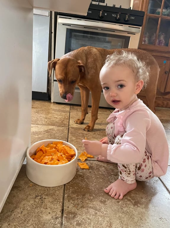 Коли діти-бешкетники: курйозні фото