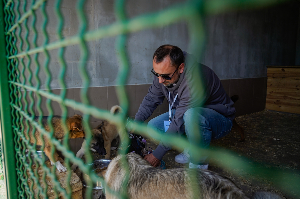 Дмитрий Ревнюк