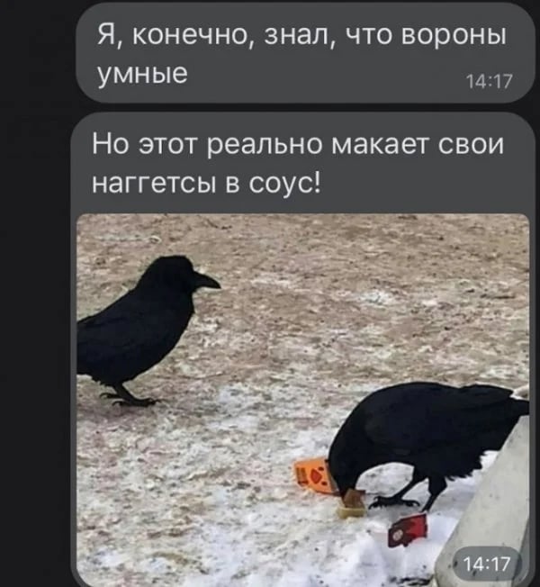 Смешные переписки в соцсетях на русском и украинском языках