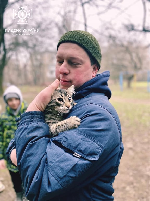 Чрезвычайники спасли котика