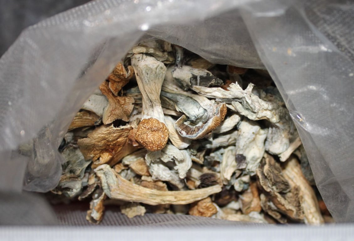 Вилучені наркотики. Фото: ГУНП в Одеській області