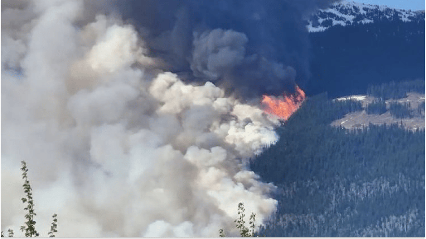 У Канаді через масштабні лісові пожежі евакуюють тисячі людей - 290x166