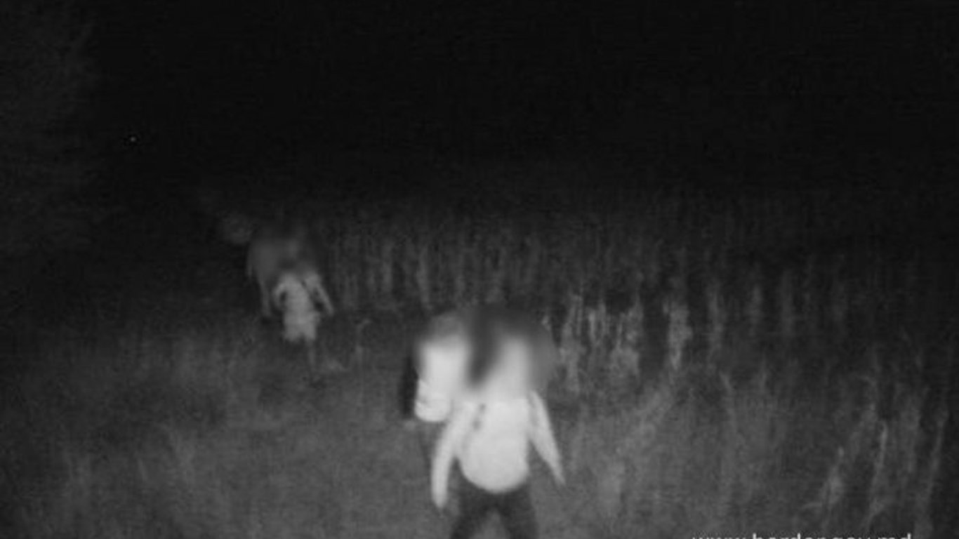 "Гід за 40 тисяч євро": на кордоні Одещини та Молдови викрили схему втечі ухилянтів