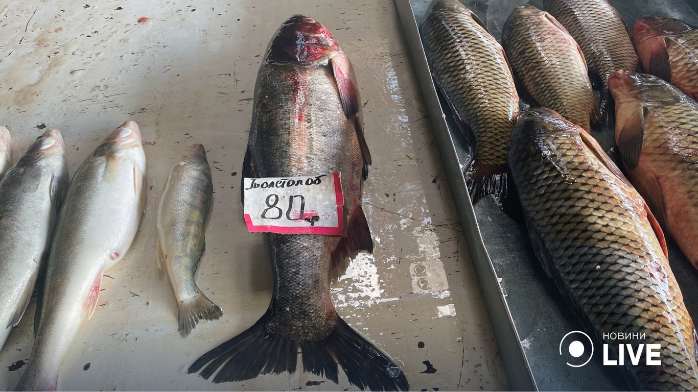 Карасі по 60 гривень кілограм, а судак по 260.