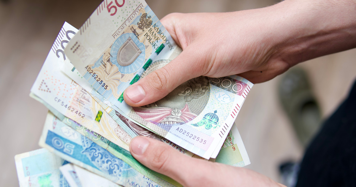 Какие виды штрафов в Польше и как их оплачивать