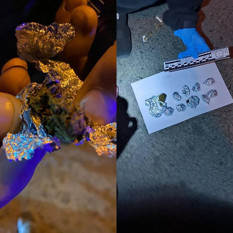 Вилучені наркотики. Фото: Нацгвардія