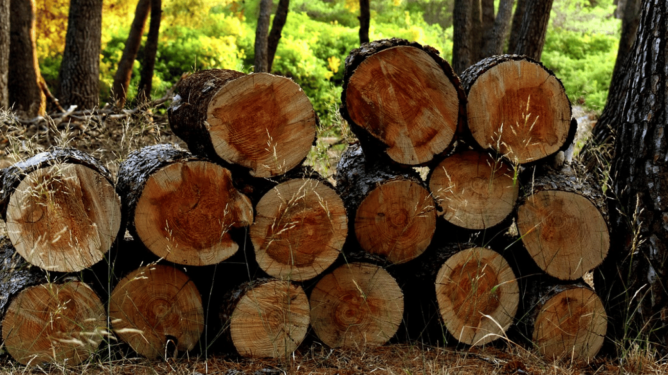Хто на Одещині може отримати безплатні дрова на опалення