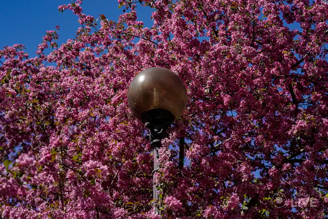 Весна в Киеве