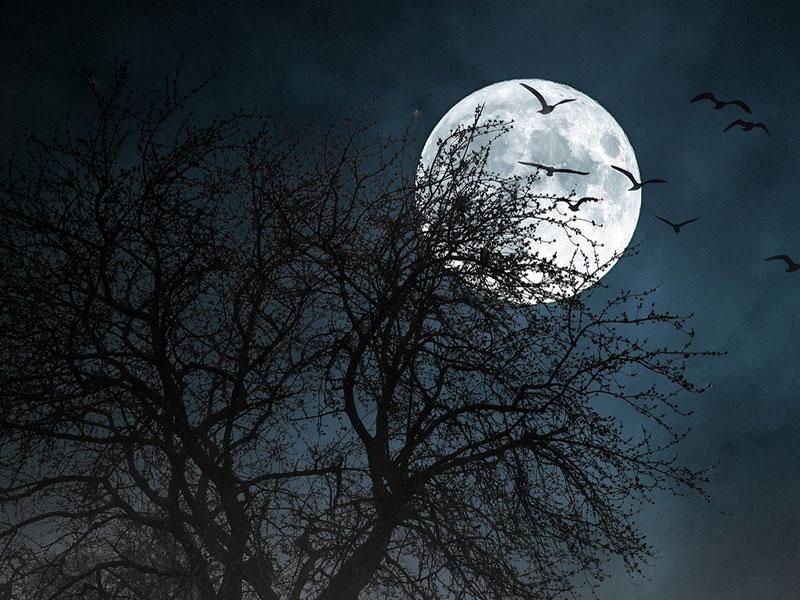 Повня в лютому 2023 року — у чому її особливість