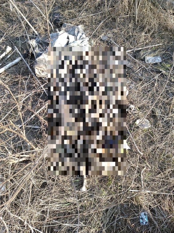 війна в Україні