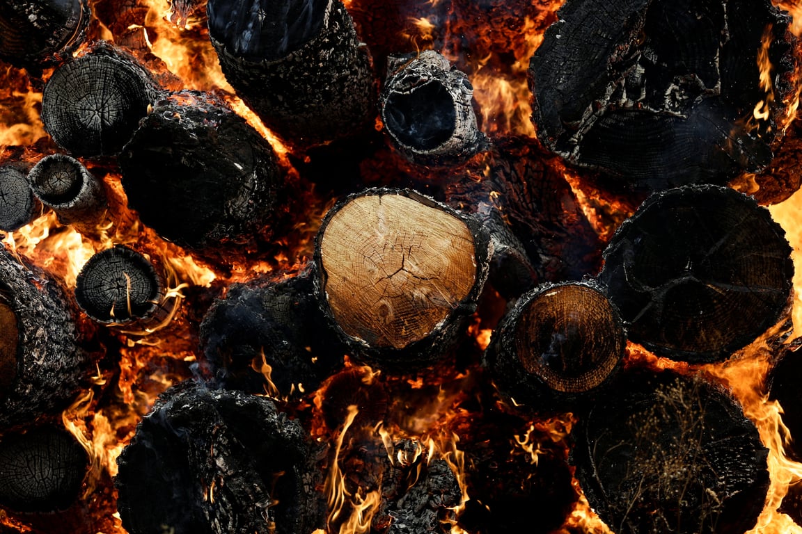 Лесные пожары в Чили