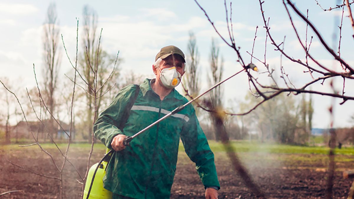 Залізний купорос для обробки дерев