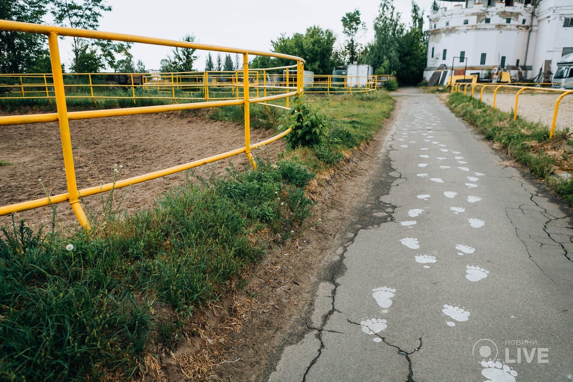 ведмежий притулок "Біла скеля"