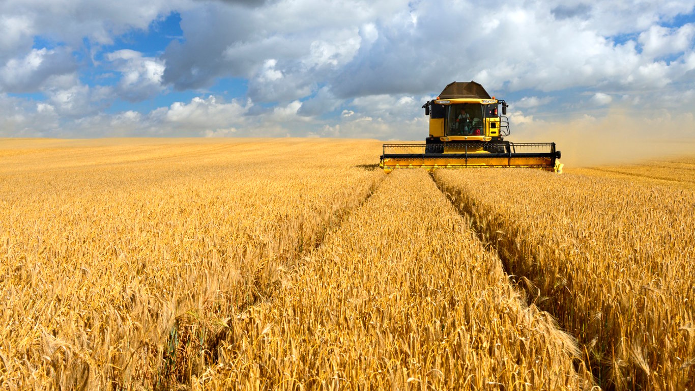 Україна зібрала вже 32,2 млн тонн зерна, але головна проблема попереду: вивезти врожай стає дедалі складніше