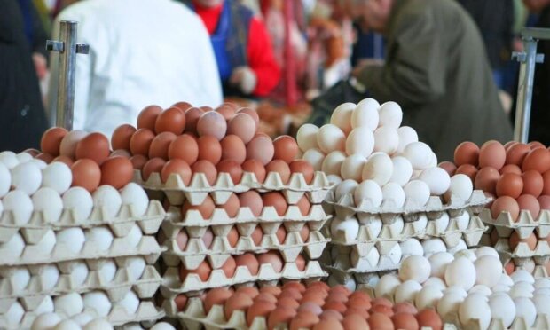 Які продукти можуть значно подорожчати перед Великоднем