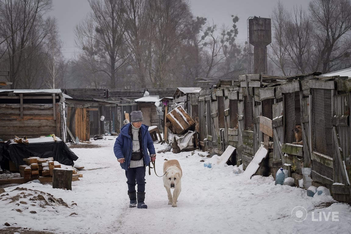 Притулок Сіріус