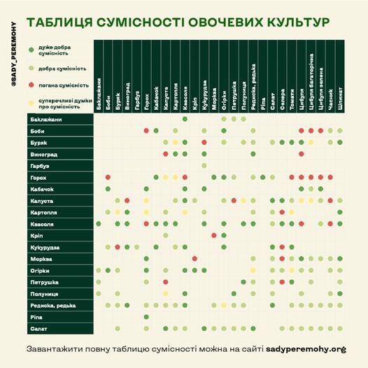 Таблица совместимости овощных культур