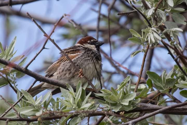 Фото: Іван Русєв / facebook