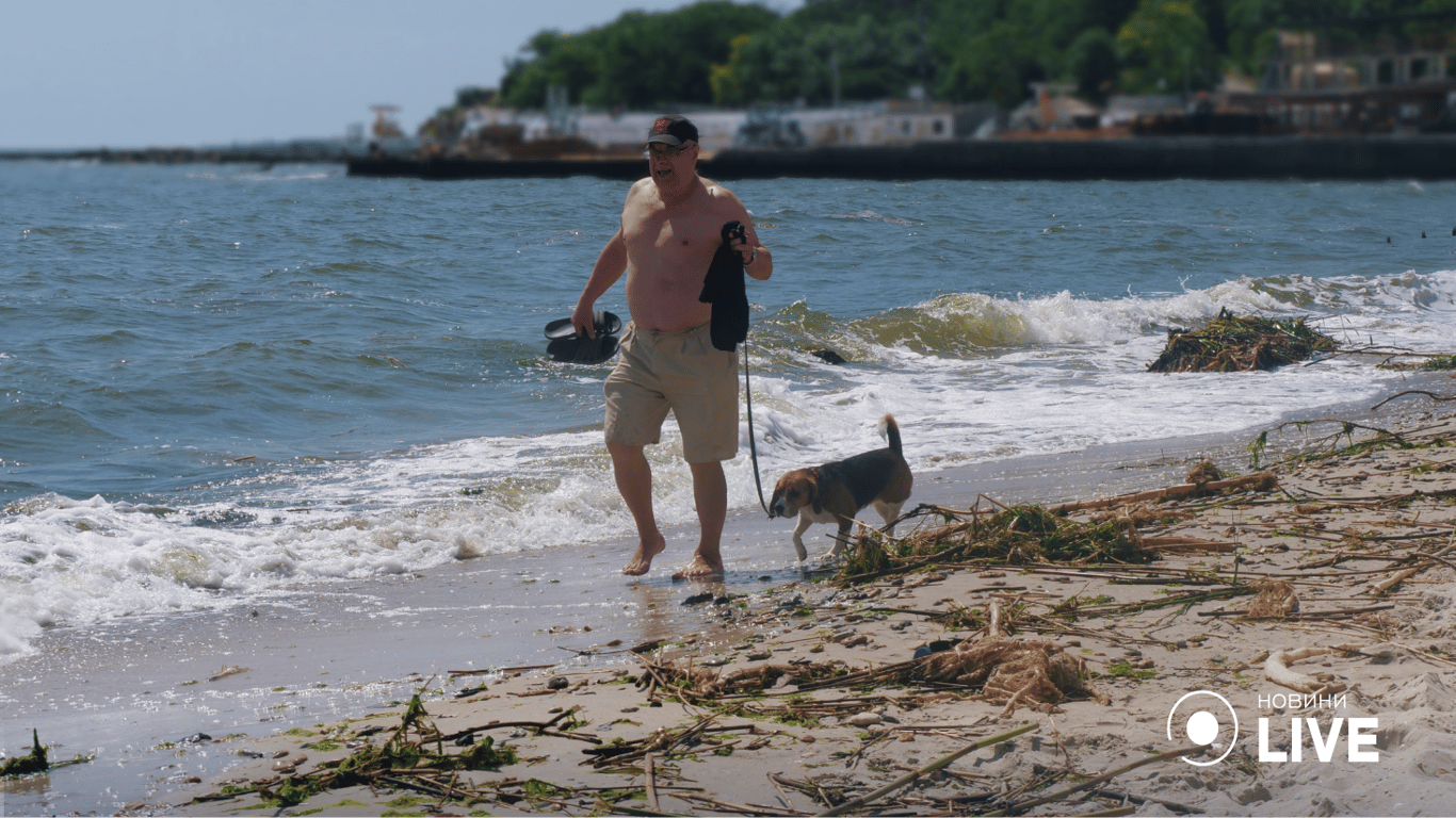 Чоловік гуляє з собакою вздовж моря. Фото: Юлія Браславська / Новини.LIVE