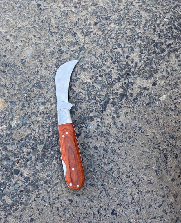 Нож, который был обнаружен на протесте в Молдове