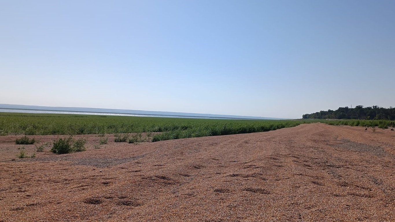 Зображення