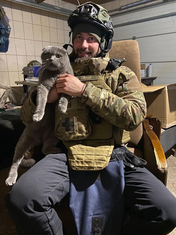 Кот Геральд