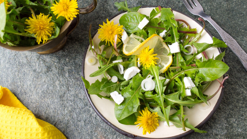 Как приготовить самый вкусный салат из одуванчика и крапивы