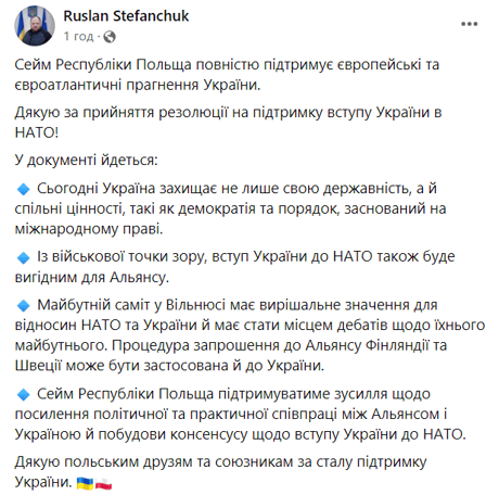 Руслан Стефанчук про ухвалення резолюції щодо підтримки членства України в НАТО. Фото: facebook.com/stefanchuk.official