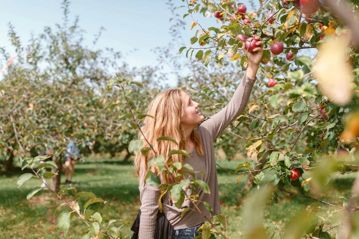 Что нельзя сажать рядом с яблоней