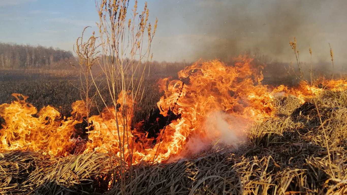 В Киевской области резко возросло количество пожаров: в ГСЧС напомнили о правилах безопасности