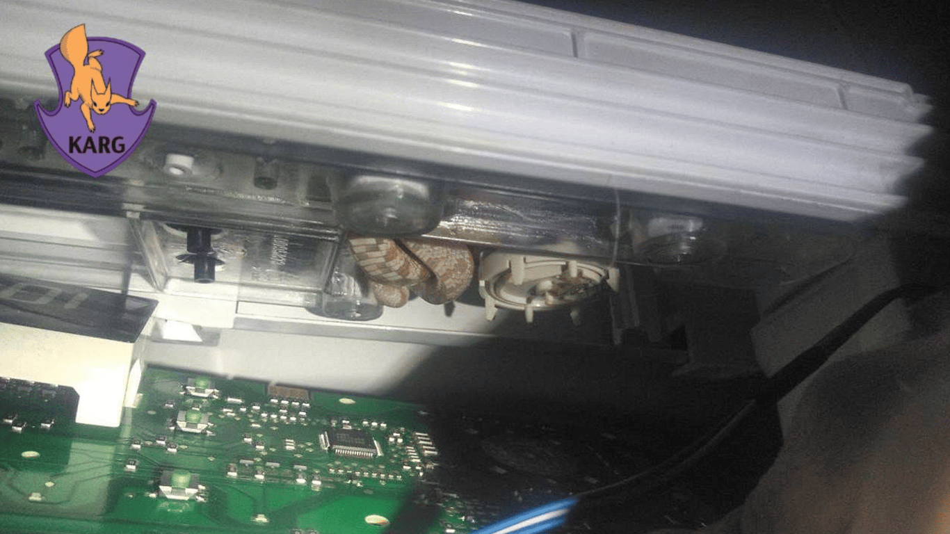 Змія у пральній машині