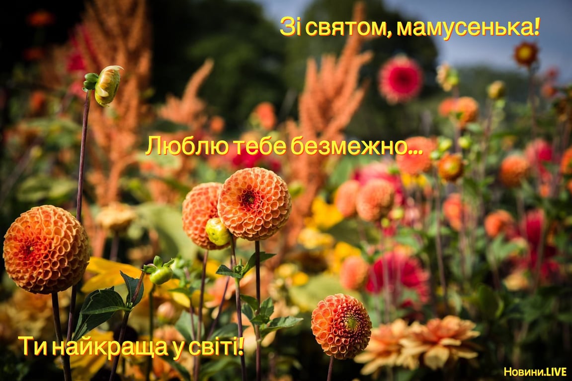 Привітання з Днем матері 2024: яскраві листівки
