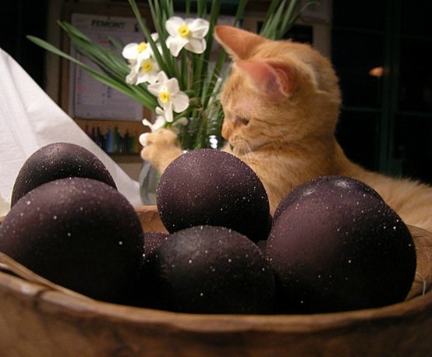 Як зробити діамантові або "мерехтливі" яйця до Великодня