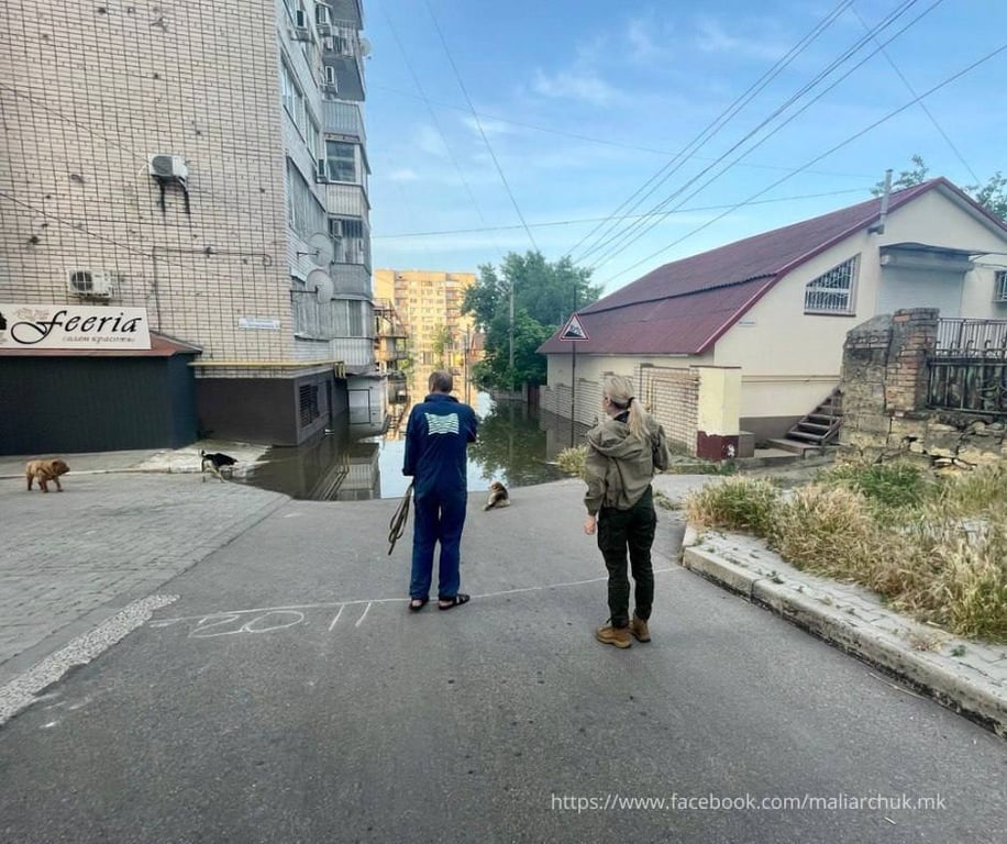 Подтопление в Херсоне