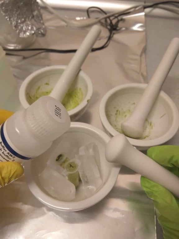 Українські наукові досліди в Антарктиці