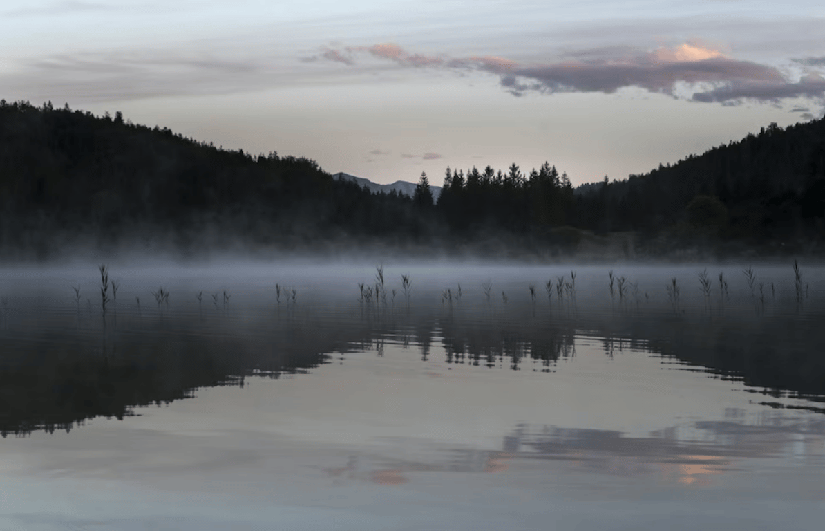 Туман над водой