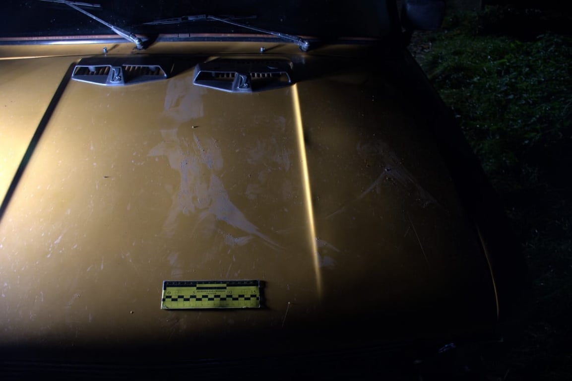 ДТП за участі дівчини