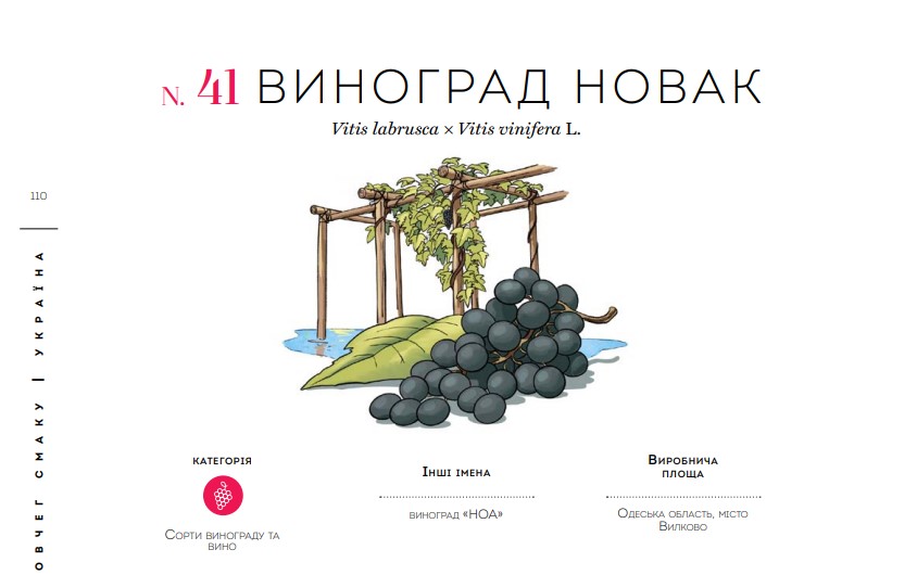 Ковчег вкуса в Украине