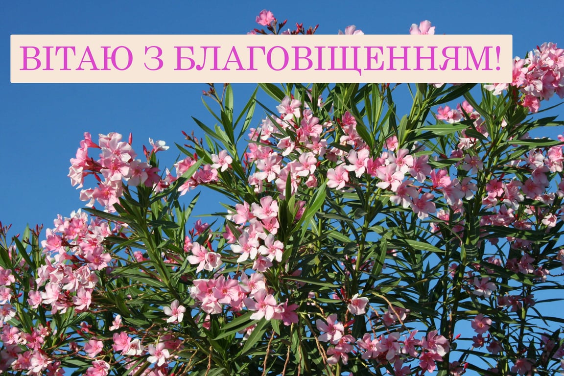 Привітання з Благовіщенням Пресвятої Богородиці