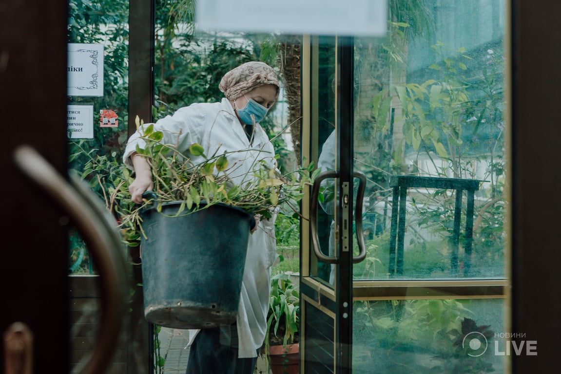 оранжерея ботсад