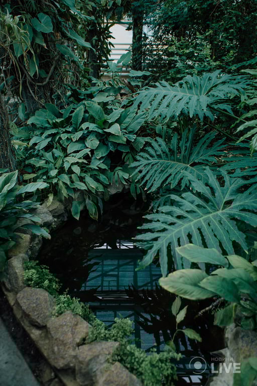 оранжерея ботсад