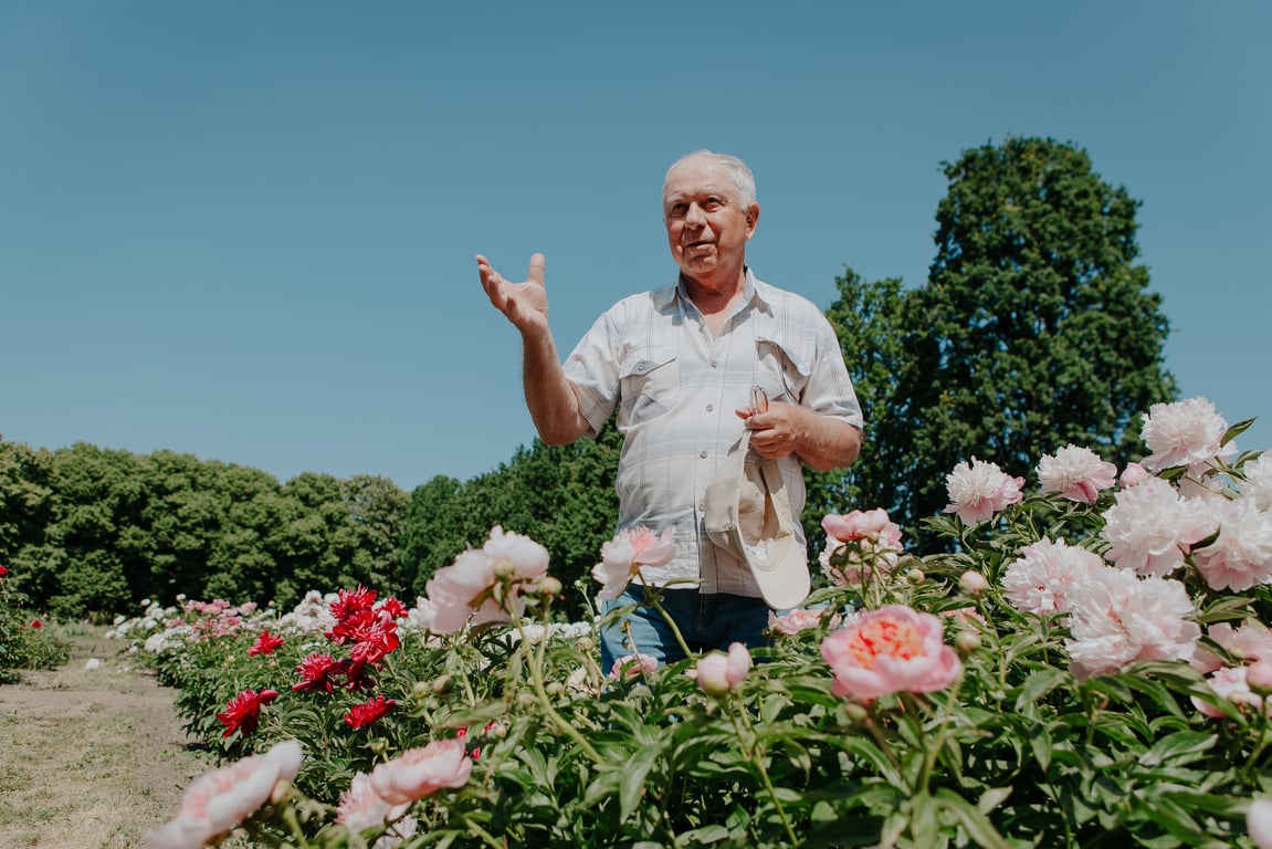 Пионы в киевском ботсаду - Василий Воробей