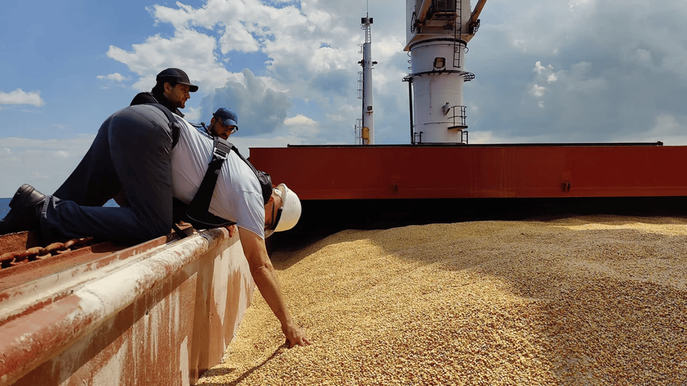 Румунія та Польща прагнуть контролювати експорт українського зерна - 290x166