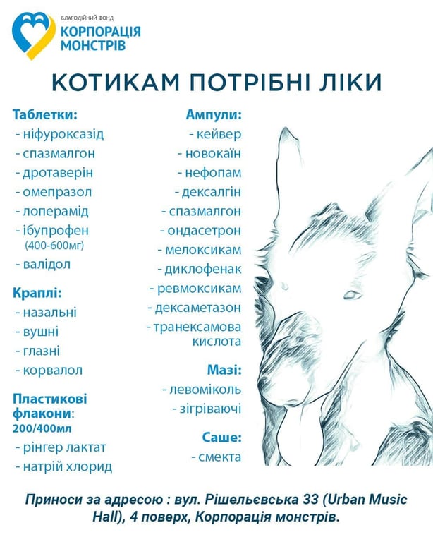 Перелік ліків, які необхідні ЗСУ. Фото: Катерина Ножевнікова 