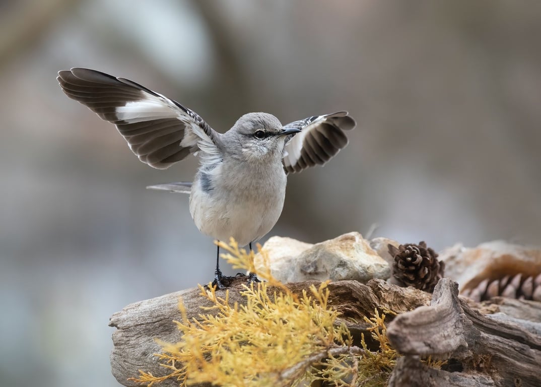 Які прикмети існують у свято Сорок Святих