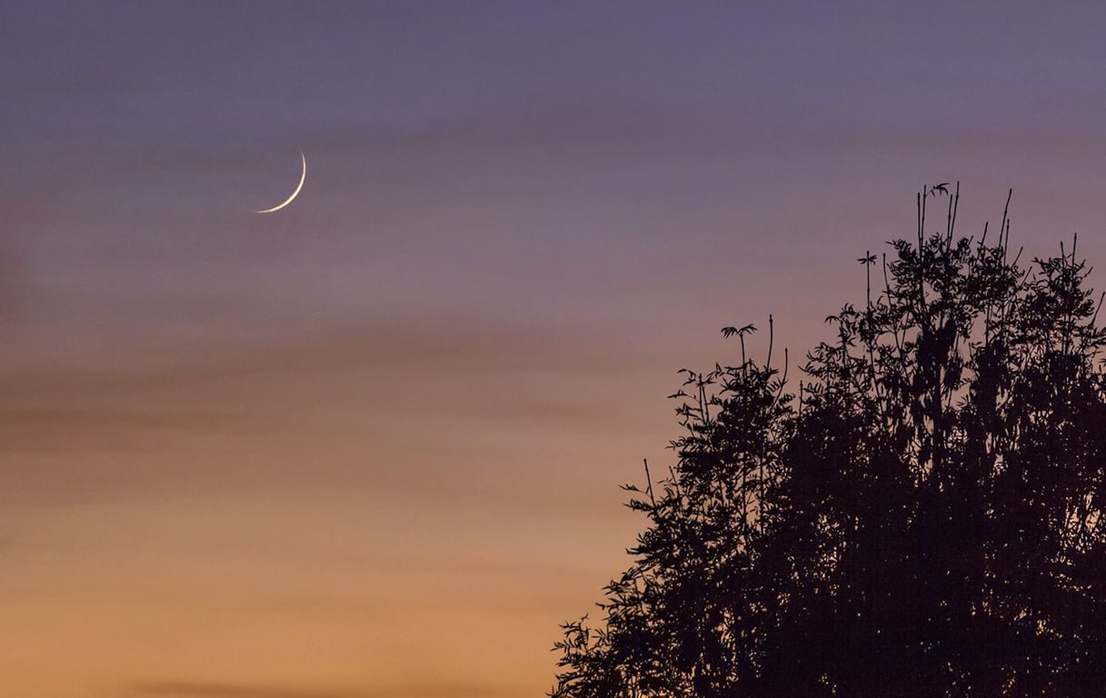 Сияние да Винчи