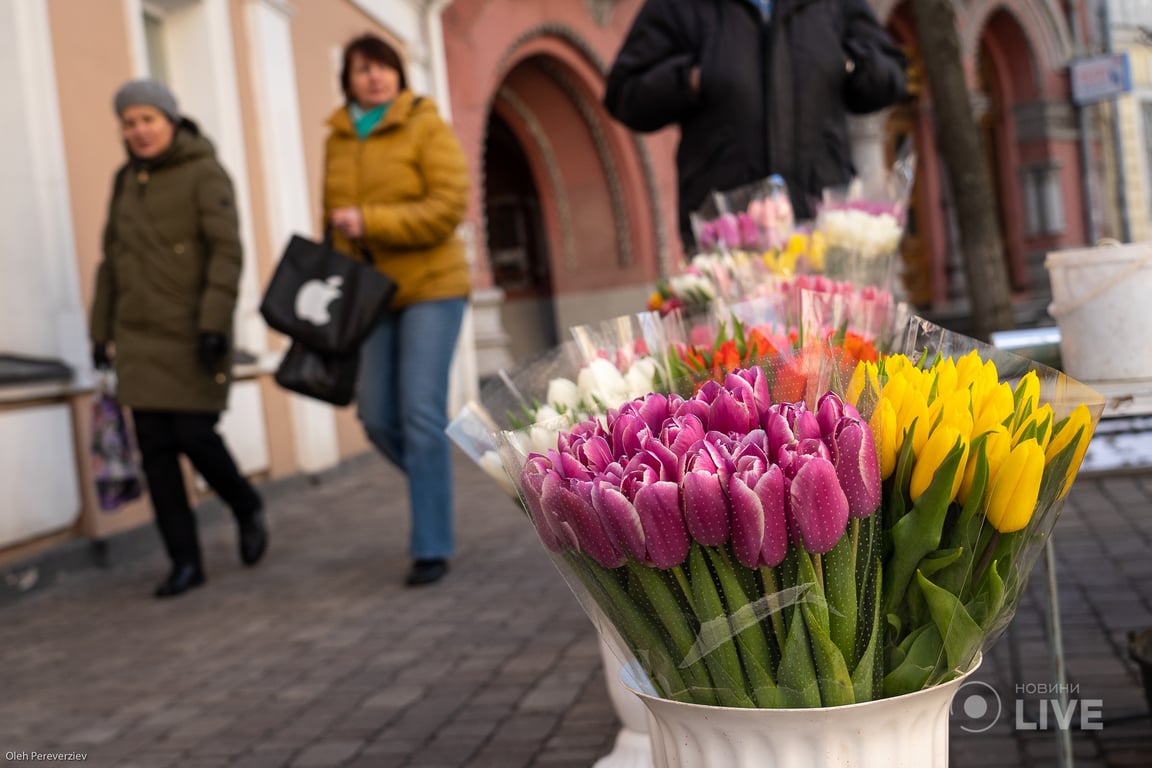 тюльпани 8 березня