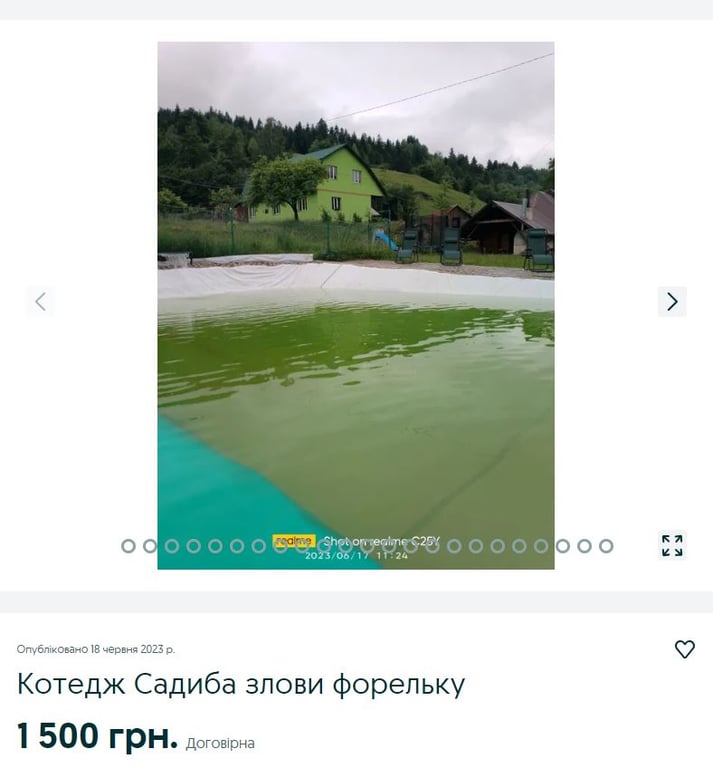 Оренда котеджу в Карпатах дешево 2023