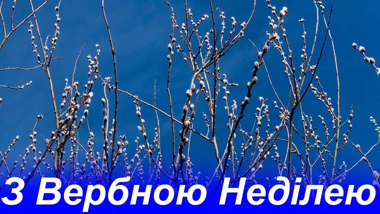 З Вербною неділею 2023 року