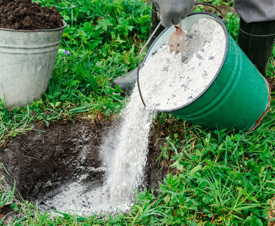 Зола для растений